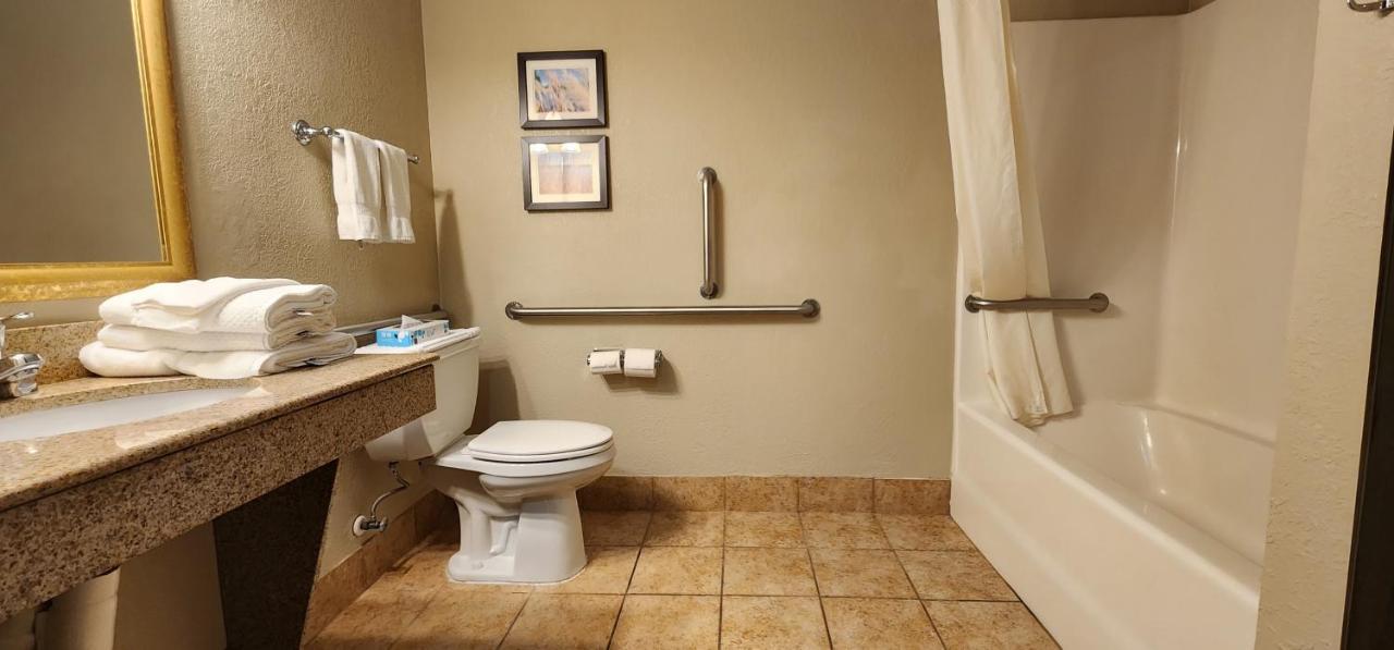 שאקופי Comfort Inn & Suites מראה חיצוני תמונה