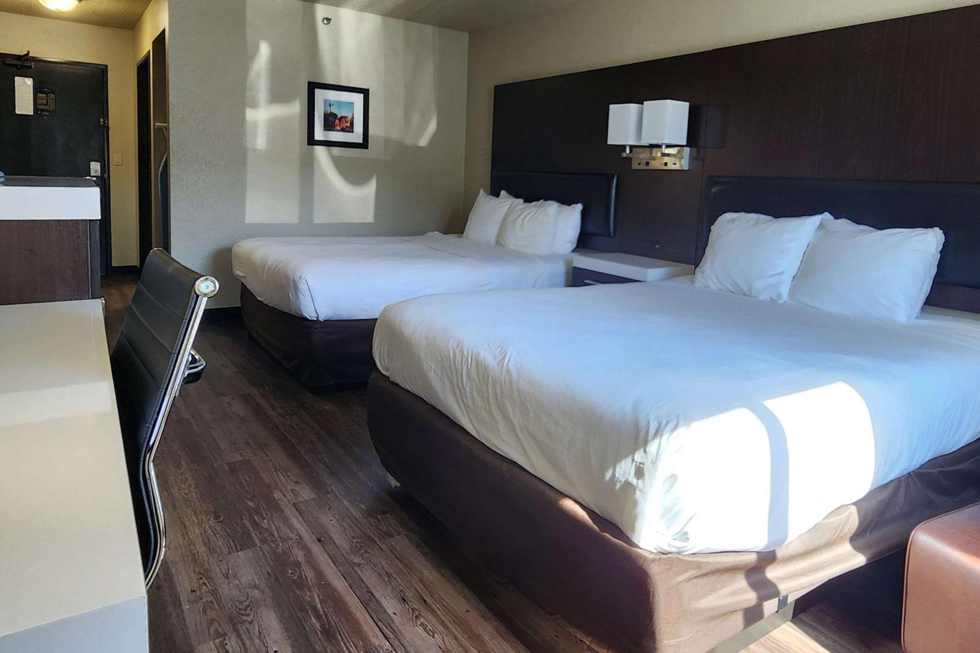 שאקופי Comfort Inn & Suites מראה חיצוני תמונה